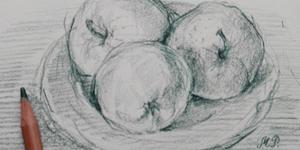 Pencil drawing of fruit