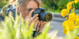 Woman takling a close up photo of a yellow flower