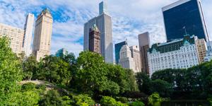 New York city Scene with Trees and buildings.